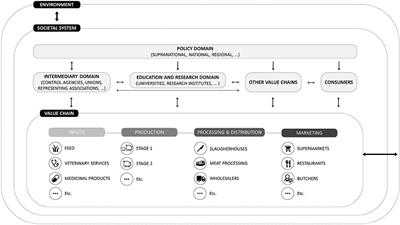 Reducing Antimicrobial Use and Dependence in Livestock Production Systems: A Social and Economic Sciences Perspective on an Interdisciplinary Approach